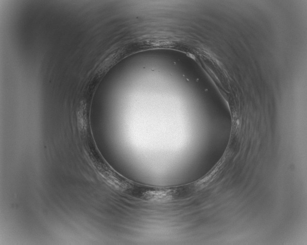 X0000074960170200609221806