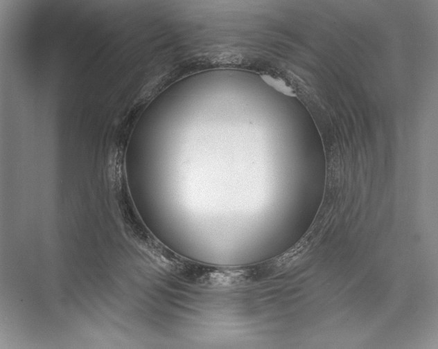 X0000074960172200609221806