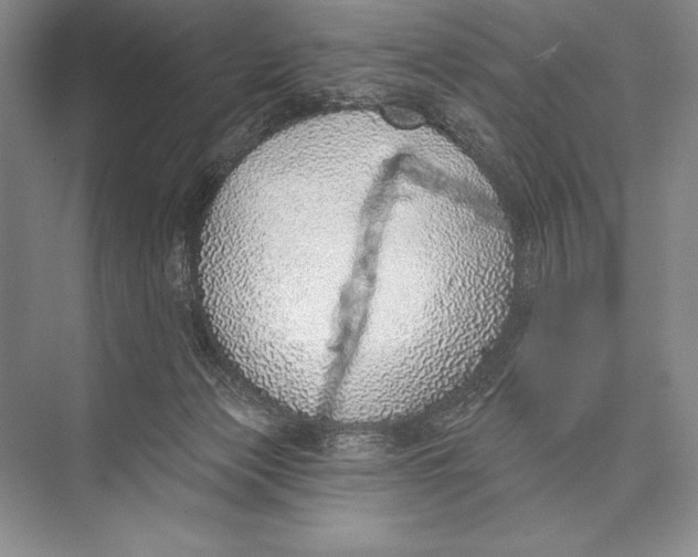 X0000074960173200609221806