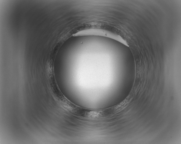 X0000074960176200609221806