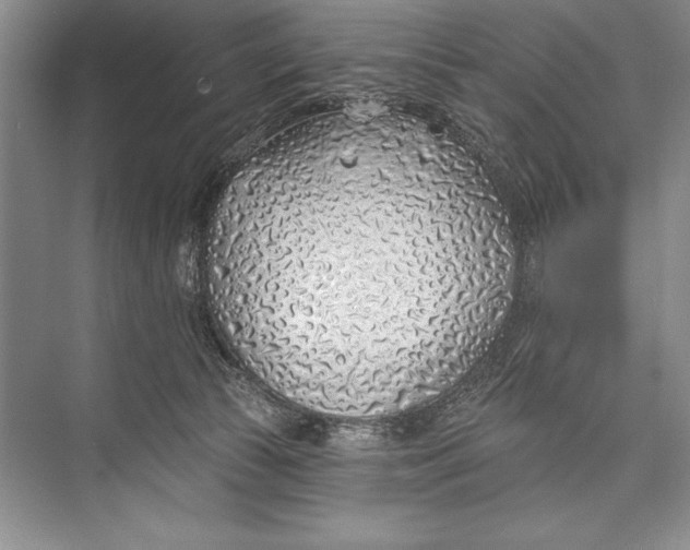 X0000074960177200609221806