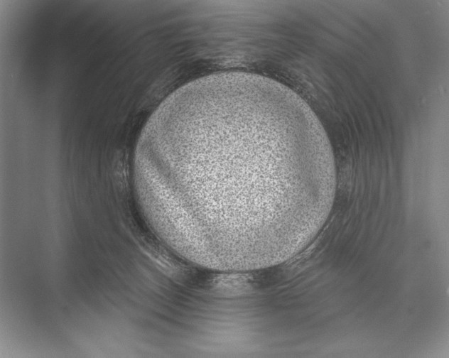 X0000074960179200609221806