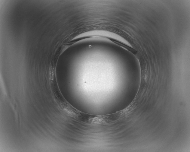 X0000074960180200609221806