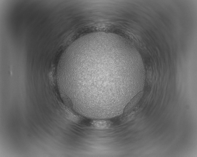 X0000074960181200609221806