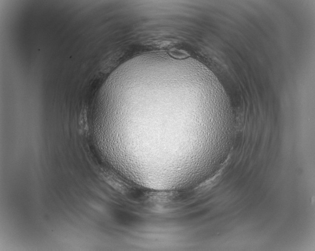 X0000074960182200609221806