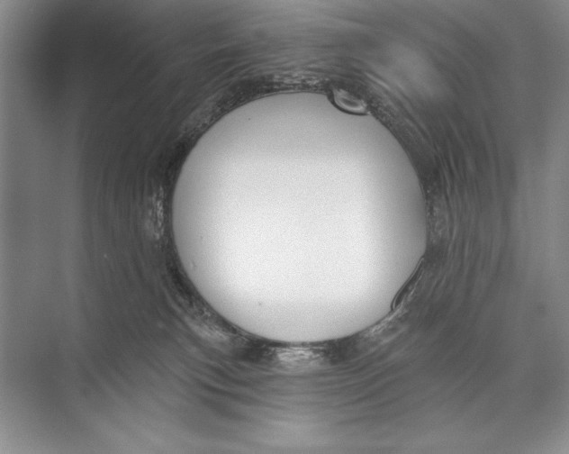 X0000074960183200609221806