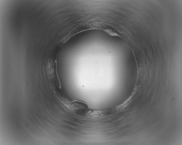 X0000074960186200609221806