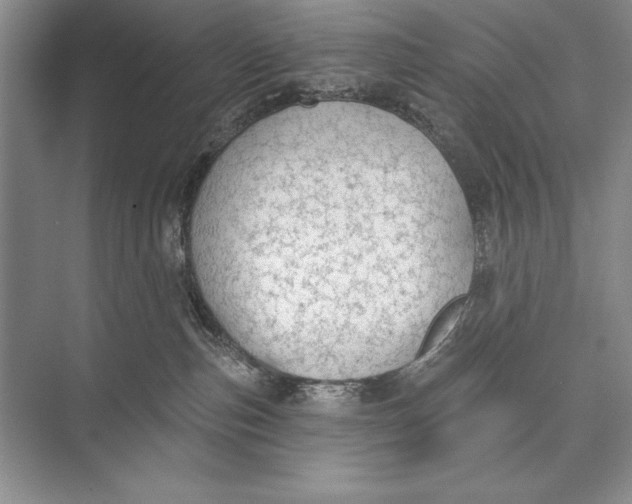 X0000074960187200609221806