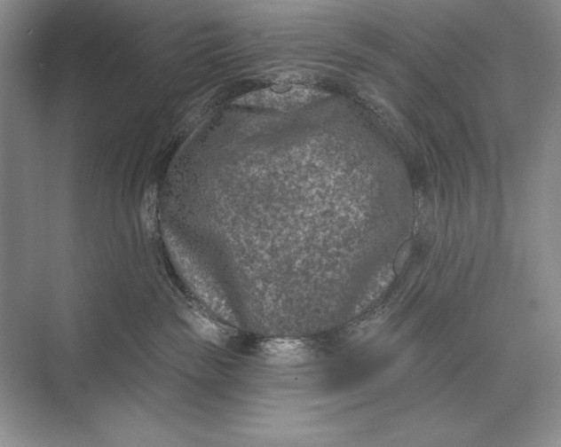 X0000074960189200609221806