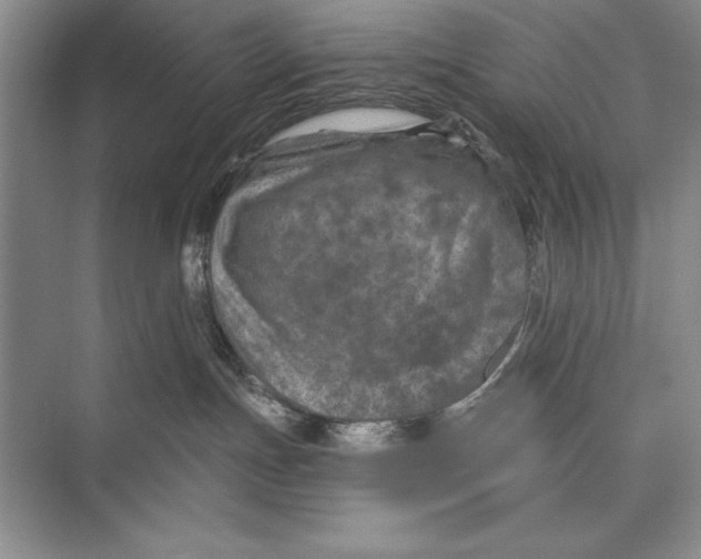 X0000074960191200609221806