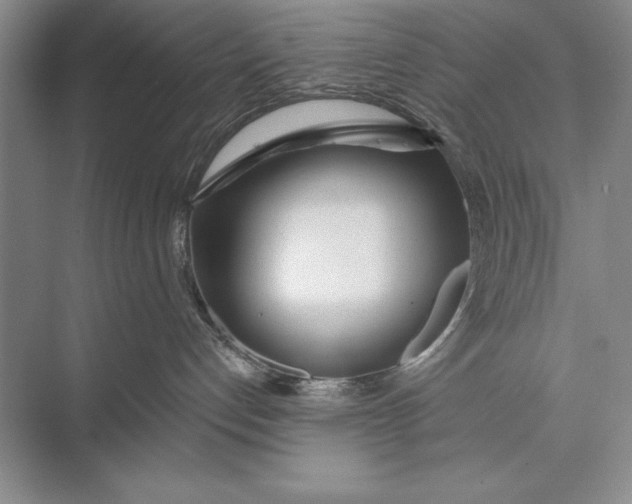 X0000074960192200609221806