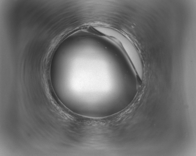 X0000074960193200609221806