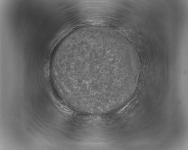 X0000074960194200609221806