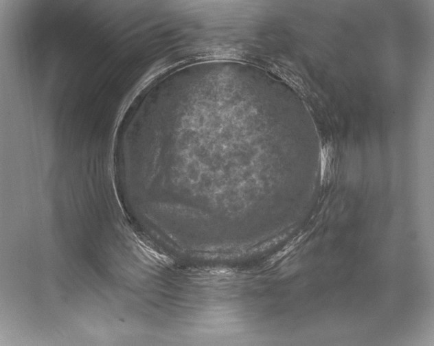 X0000074960195200609221806