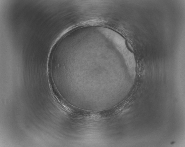 X0000074960196200609221806