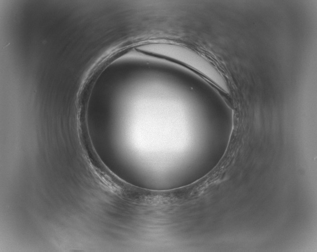 X0000074960197200609221806