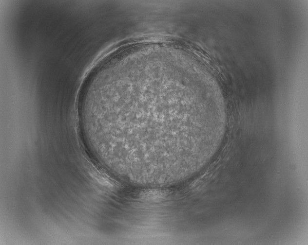 X0000074960198200609221806