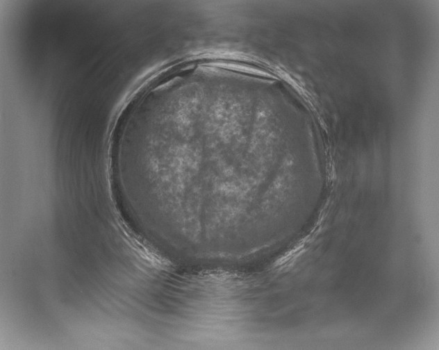 X0000074960199200609221806