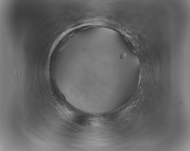 X0000074960200200609221806