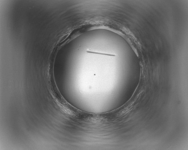 X0000074960201200609221806