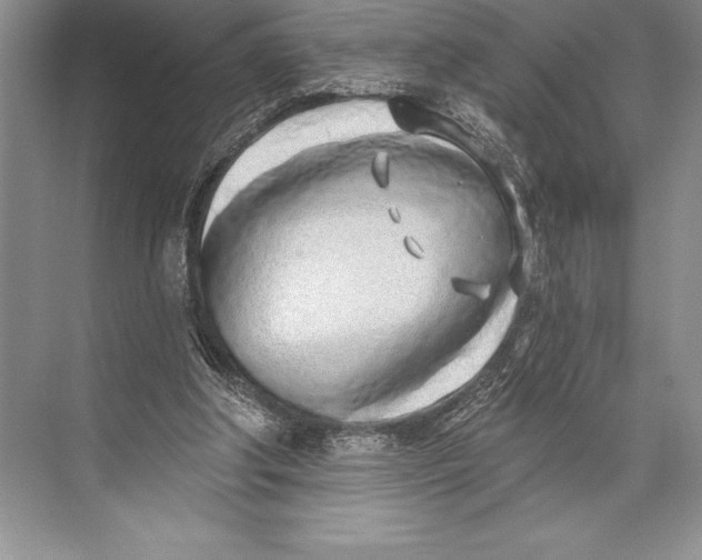 X0000074960202200609221805