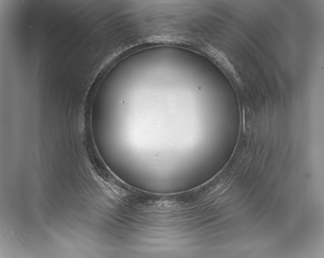 X0000074960204200609221805