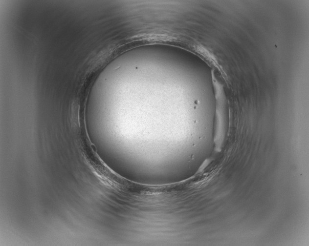 X0000074960205200609221805