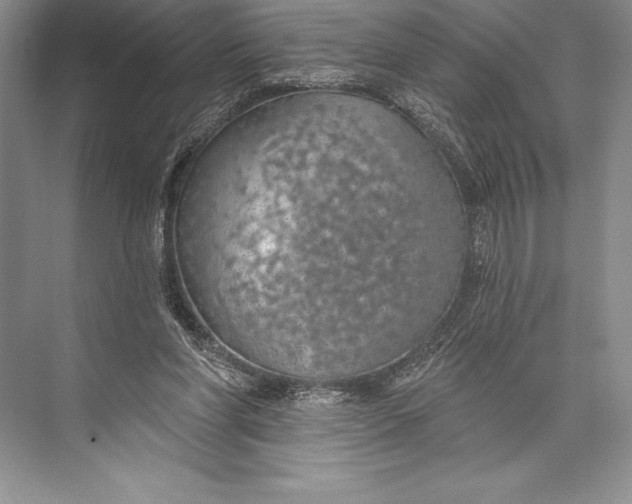 X0000074960206200609221805