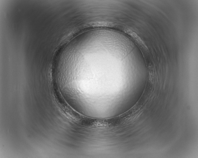 X0000074960207200609221805