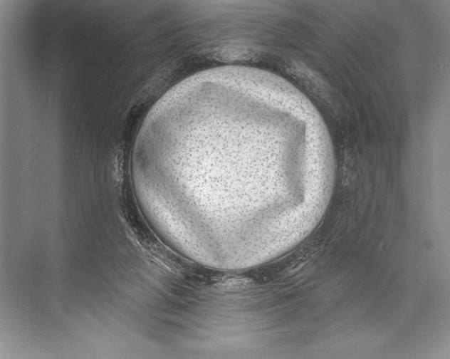 X0000074960210200609221805