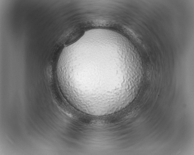 X0000074960211200609221805