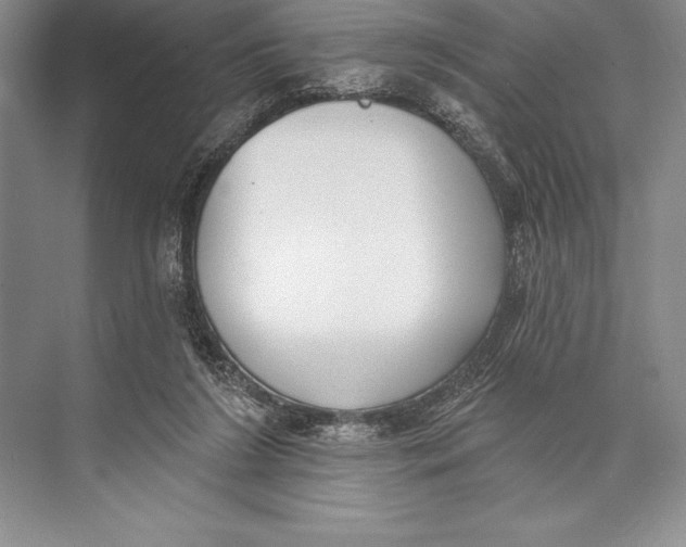 X0000074960212200609221805