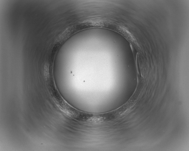 X0000074960213200609221805