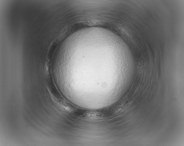 X0000074960214200609221805