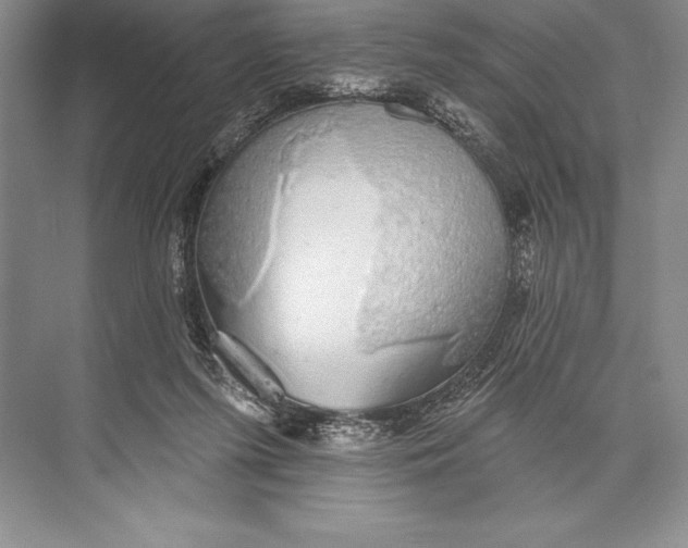 X0000074960215200609221805