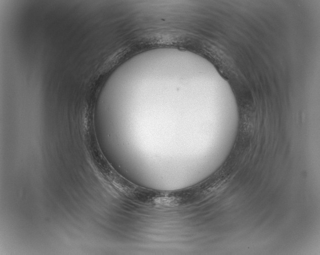 X0000074960216200609221805