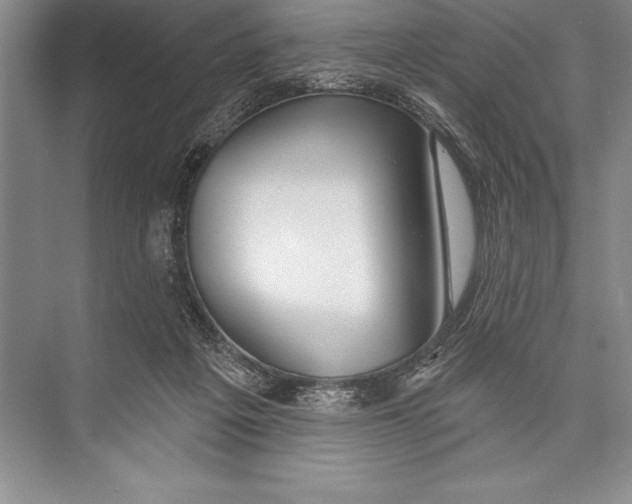 X0000074960217200609221805