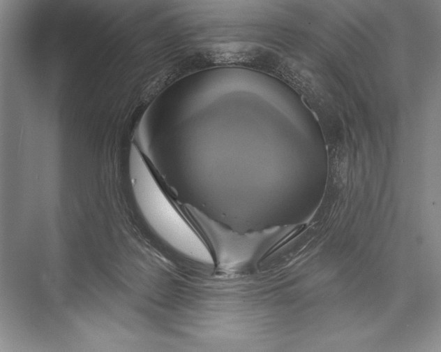 X0000074960219200609221805