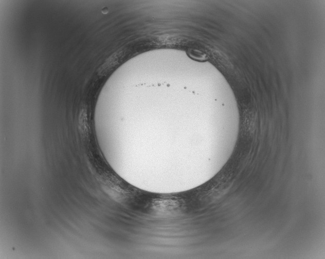 X0000074960220200609221805