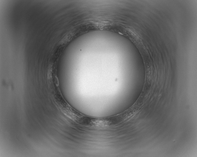 X0000074960221200609221805