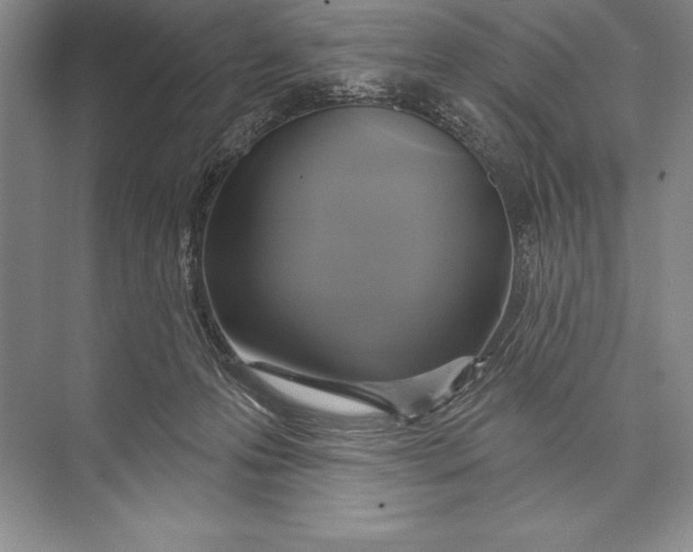 X0000074960223200609221805