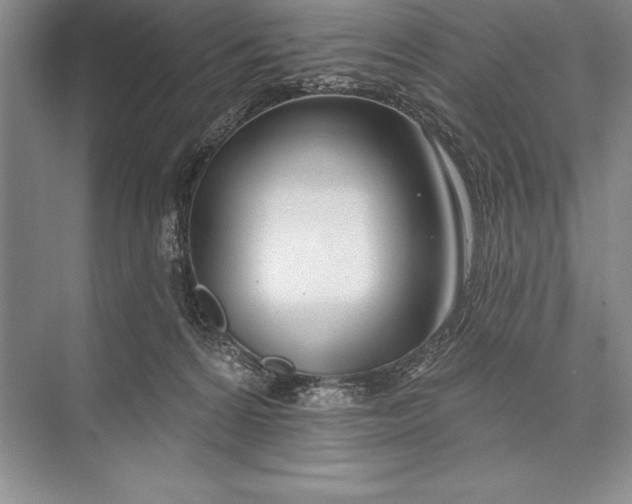 X0000074960224200609221805