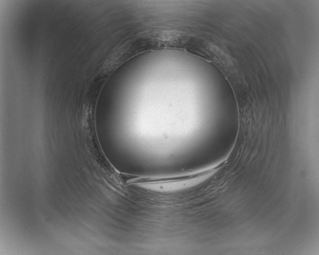 X0000074960225200609221805