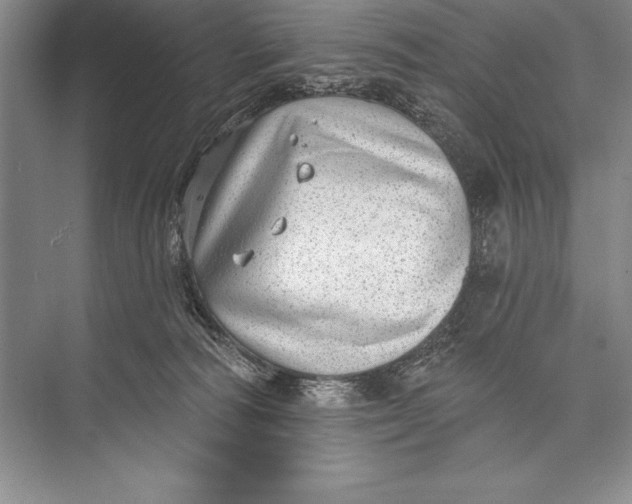 X0000074960226200609221805