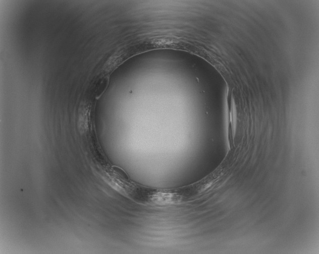 X0000074960227200609221805