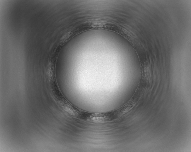 X0000074960228200609221805