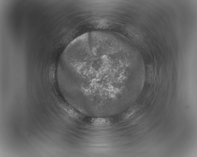 X0000074960230200609221805