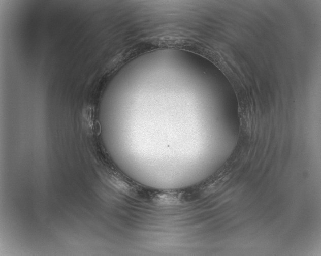 X0000074960232200609221805