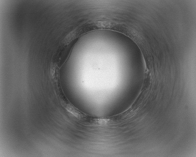 X0000074960233200609221805