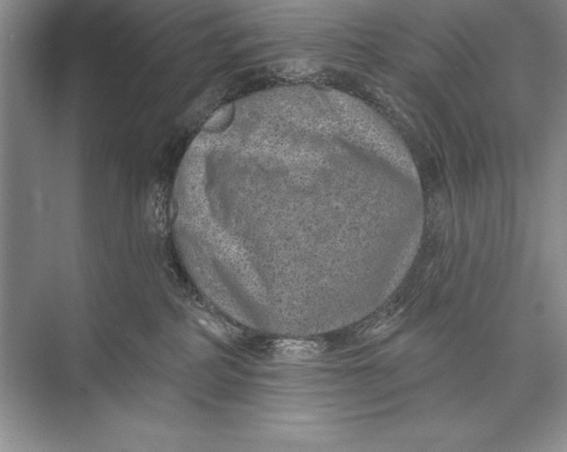 X0000074960234200609221805